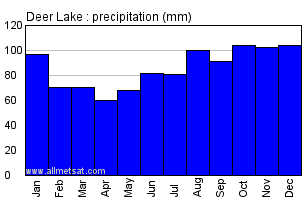 Deer Lake Newfoundland and Labrador Canada Annual Precipitation Graph